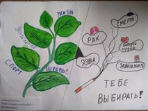Жеглова Анна (8 кл., МБОУ  "Средняя школа №1")