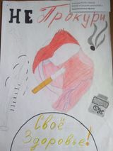 Земляникина Ирина (9 "Б" кл., МБОУ  "Средняя школа №1")